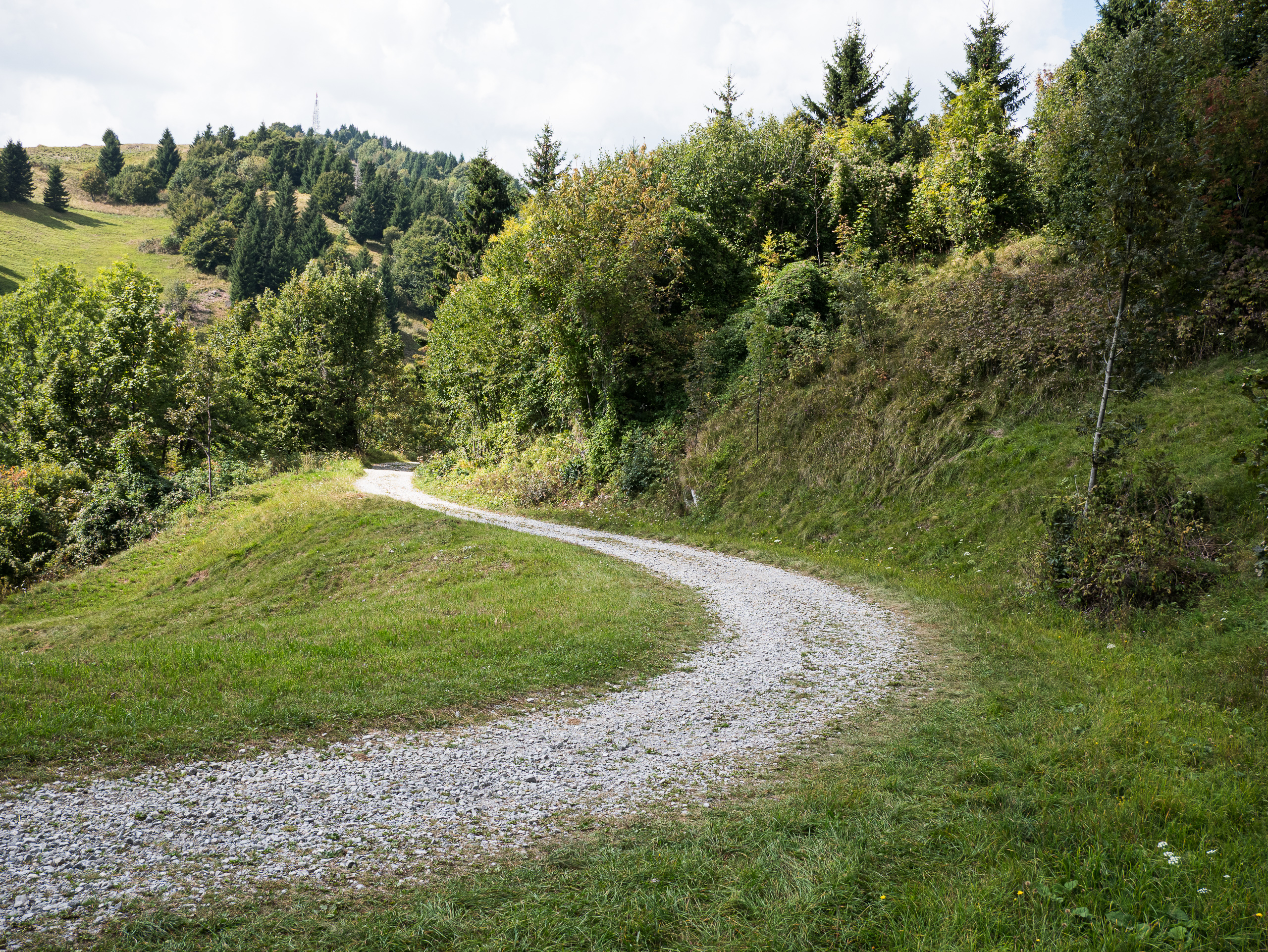Schotterweg durch Wiesen und Wald am Grenzkamm